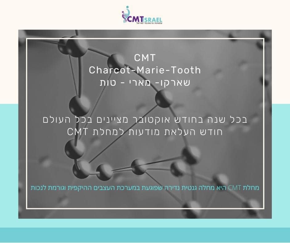Read more about the article שארקו – מארי – ט׳ות סרטון וידאו